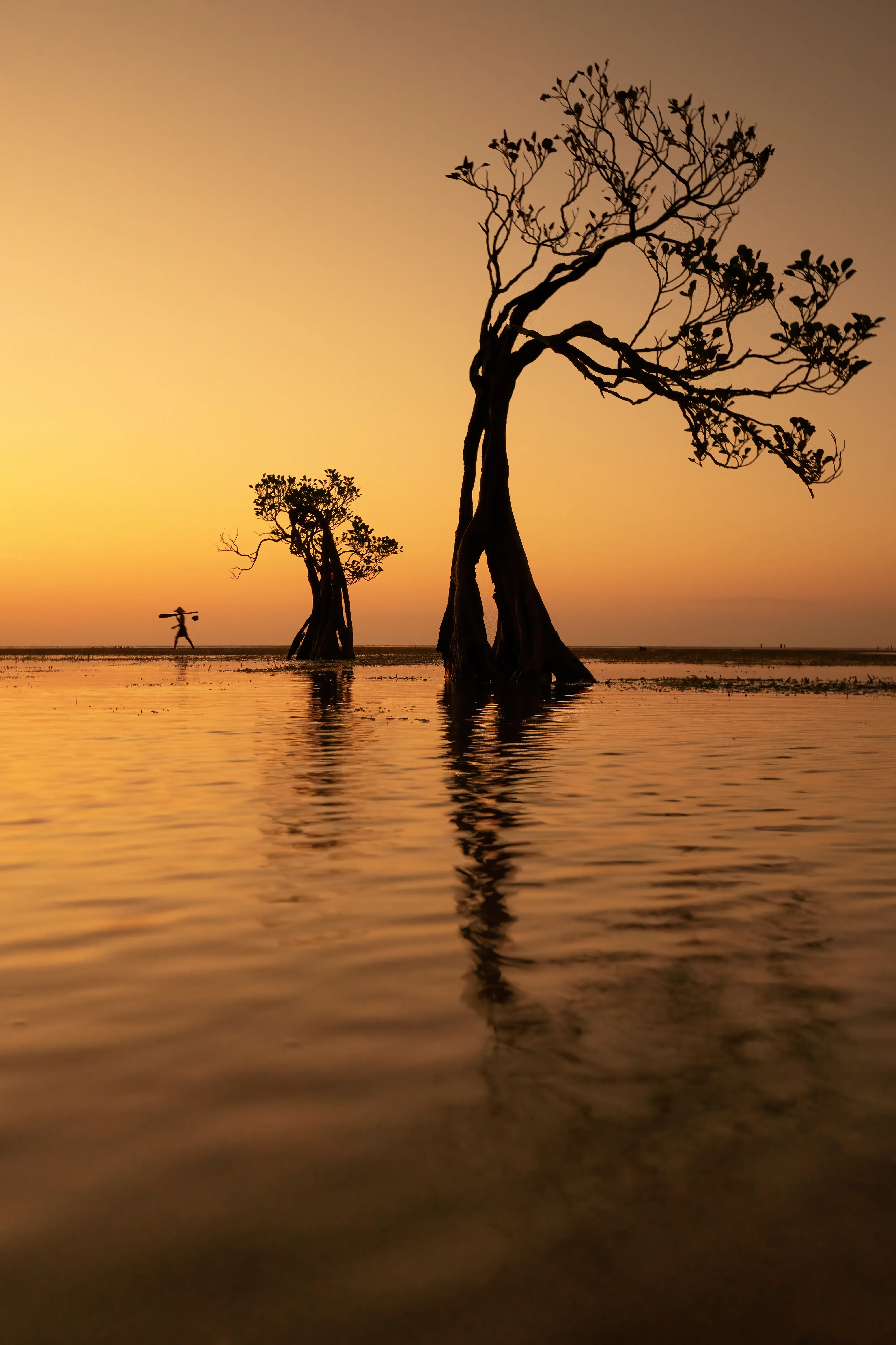 Perhimpunan Fotografer Bali
