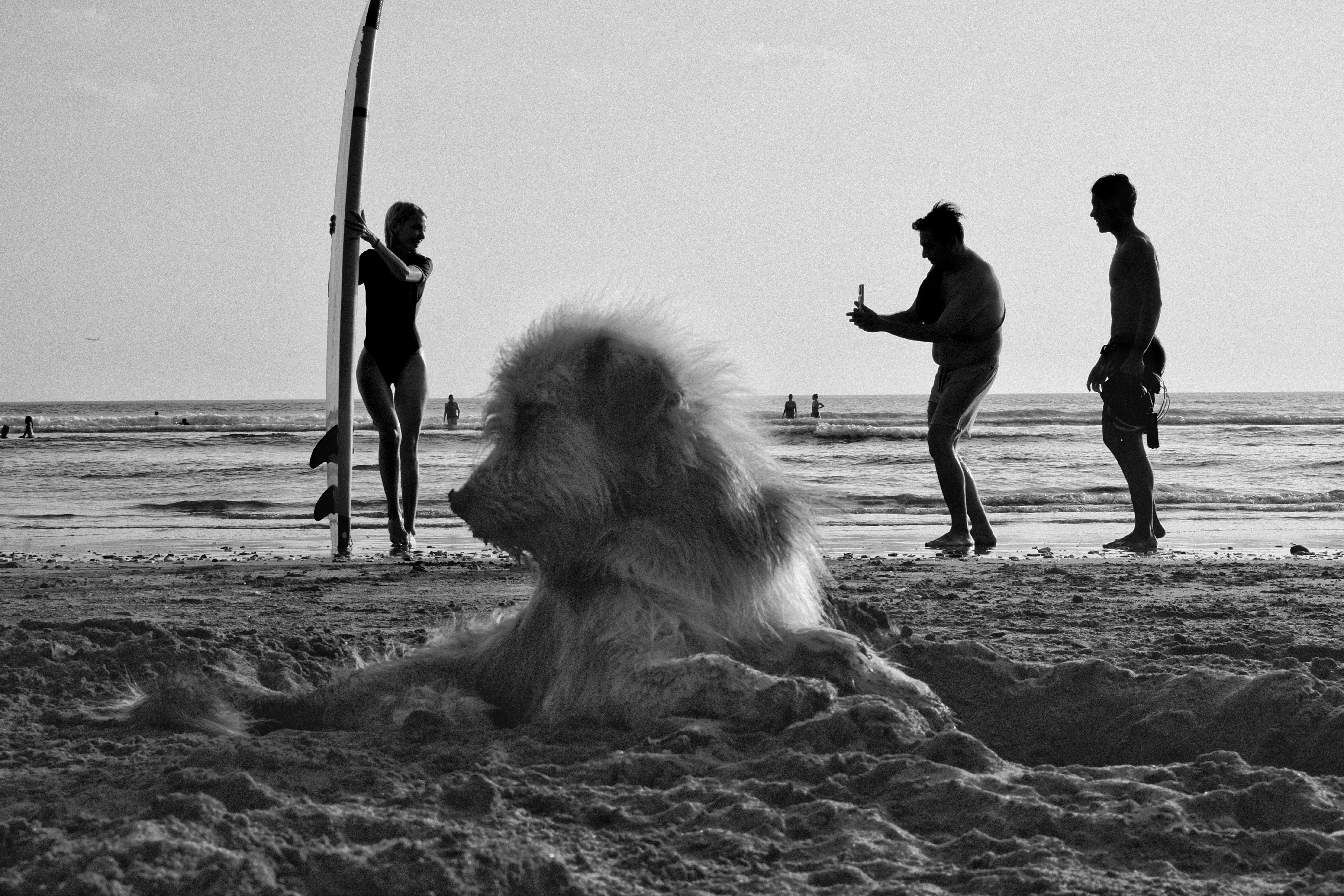 Beach Life